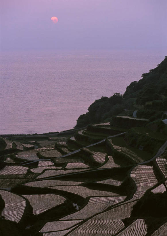 无人,农田,竖图,室外,白天,正面,旅游,度假,庄稼,梯田,农作物,海浪,海洋,美景,日落,山,山脉,太阳,日本,亚洲,阴影,曲折,弯曲,光线,影子,景观,浪花,山峰,水平线,晚霞,霞光,落日,辽阔,海平线,山峦,娱乐,阳光,自然,海水,黄昏,群山,享受,休闲,广阔,景色,彩霞,放松,蜿蜒,一望无际,自然风光,海景,东亚,日本国,九州本岛,九州,九州岛,佐贺,佐贺县,九州地方,无边无际,一马平川,夕照,薄暮,大海,风浪,海,海水的波动,近岸浪,涌浪,夕阳,彩图,耕地,庄稼田,傍晚,东松浦郡,玄海町,水天相接,水天一线,斜阳