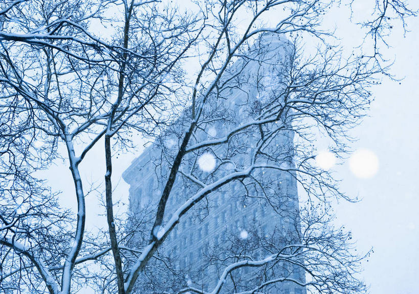 无人,高楼大厦,横图,室外,白天,仰视,度假,美景,雪,植物,雾,大雪,城市风光,标志建筑,城市,大厦,地标,建筑,摩天大楼,纽约,美国,朦胧,模糊,积雪,景观,雪景,冬季,冬天,建筑群,曼哈顿,枝条,娱乐,建设,树,树木,树枝,享受,休闲,景色,放松,寒冷,迷雾,北美,北美洲,美洲,第五大道,纽约州,帝国之州,帝国州,北亚美利加洲,亚美利加洲,严寒,纽约第五街,虬枝,枝杈,福勒大厦,熨斗大厦,大雾,彩图,低角度拍摄,大楼,高层建筑,高楼,摩天楼,曼哈顿岛