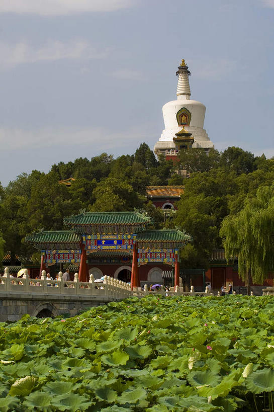 无人,公园,竖图,室外,白天,正面,旅游,度假,名胜古迹,植物,标志建筑,地标,建筑,北海公园,北京,中国,亚洲,阴影,遗迹,光线,瓦片,影子,屋檐,云,云朵,牌坊,牌楼,塔,首都,云彩,古迹,文化,文物,娱乐,建设,古建筑,白塔,檐,树,树木,蓝色,绿色,白色,白云,蓝天,天空,阳光,自然,天,享受,休闲,旅游胜地,放松,生长,晴朗,成长,纪念,祭祀,表彰,荣誉,古文明,东亚,中华人民共和国,北京市,京,北平,华北地区,荣耀,北京北海公园,晴空,彩图,传统文化,北海白塔,琼华岛