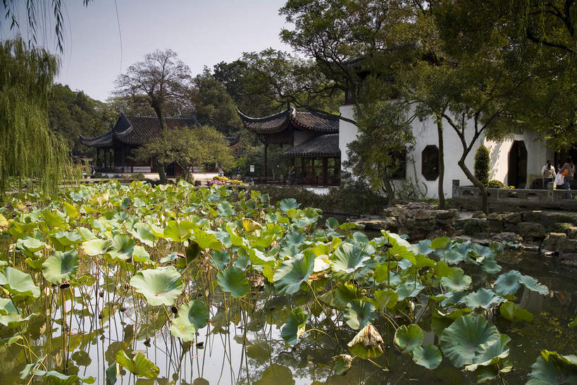 无人,家,栏杆,横图,室外,白天,正面,旅游,度假,草地,草坪,名胜古迹,植物,标志建筑,地标,建筑,叶子,中国,亚洲,阴影,遗迹,光线,瓦片,影子,柱子,房屋,屋檐,屋子,围栏,走道,走廊,过道,荷叶,古迹,文物,娱乐,建设,古建筑,江苏,苏州,护栏,楼房,檐,住宅,草,树,树木,绿色,阳光,自然,享受,休闲,旅游胜地,放松,生长,成长,古文明,东亚,江苏省,苏州市,拙政园,中华人民共和国,华东地区,苏,莲叶,苏州园林,中国园林之母,叶,叶片,彩图,房子