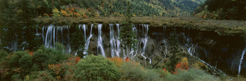 无人,横图,全景,室外,白天,正面,旅游,度假,美景,瀑布,水,天际线,植物,中国,亚洲,飞溅,溅,液体,景观,水滴,悬崖,娱乐,水珠,树,树木,绿色,自然,享受,休闲,景色,放松,四川省,生长,成长,喷洒,自然风光,东亚,四川,阿坝,中华人民共和国,西南地区,阿坝藏族羌族自治州,阿坝州,川,九寨沟县,绝壁,诺日朗瀑布,跌水,彩图