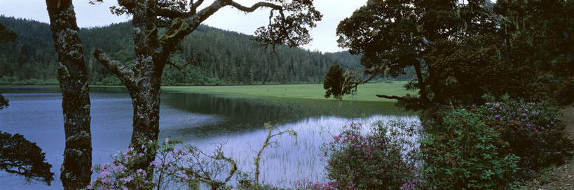 无人,横图,室外,白天,正面,旅游,度假,湖,湖泊,美景,森林,山,山脉,树林,水,植物,香格里拉,中国,亚洲,阴影,盛开,光线,影子,湖面,景观,山峰,水流,水面,山峦,花蕾,娱乐,迪庆,云南,花,花瓣,花朵,鲜花,树,树木,蓝色,绿色,倒影,蓝天,天空,阳光,自然,湖水,群山,天,花苞,花蕊,享受,休闲,景色,放松,生长,晴朗,成长,倒映,自然风光,东亚,中甸,迪庆藏族自治州,云南省,万里无云,中华人民共和国,西南地区,滇,迪庆州,反照,香格里拉县,晴空,晴空万里,彩图,碧塔海自然保护区