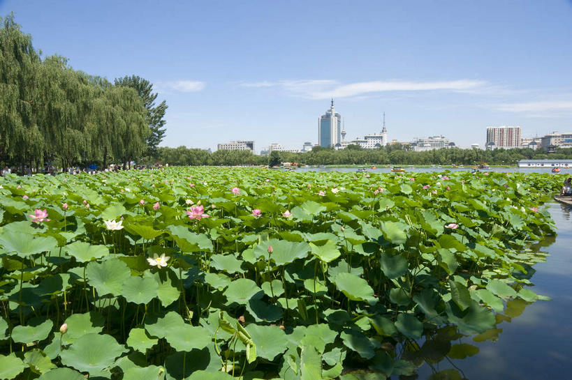 无人,高楼大厦,火车站,横图,室外,白天,正面,旅游,度假,纯洁,美景,植物,大厦,建筑,摩天大楼,车站,莲花,叶子,北京,中国,亚洲,许多,阴影,光线,影子,池塘,景观,水池,云,云朵,荷叶,站台,首都,很多,云彩,娱乐,月台,树,树木,蓝色,绿色,白云,蓝天,天空,阳光,自然,天,享受,休闲,景色,放松,生长,晴朗,成长,莲花池,富贵,神圣,自然风光,东亚,纯净,中华人民共和国,北京市,京,北平,华北地区,莲叶,六月花神,正直,丰台区,鞭蕖,鞭蓉,芙蕖,菡萏,荷花,六月春,藕花,水旦,水芙蓉,水华,水芸,溪客,叶,叶片,晴空,彩图,大楼,高层建筑,高楼,摩天楼,铁路车站,铁路站,西客站,莲花池公园,北京西客站,北京西站