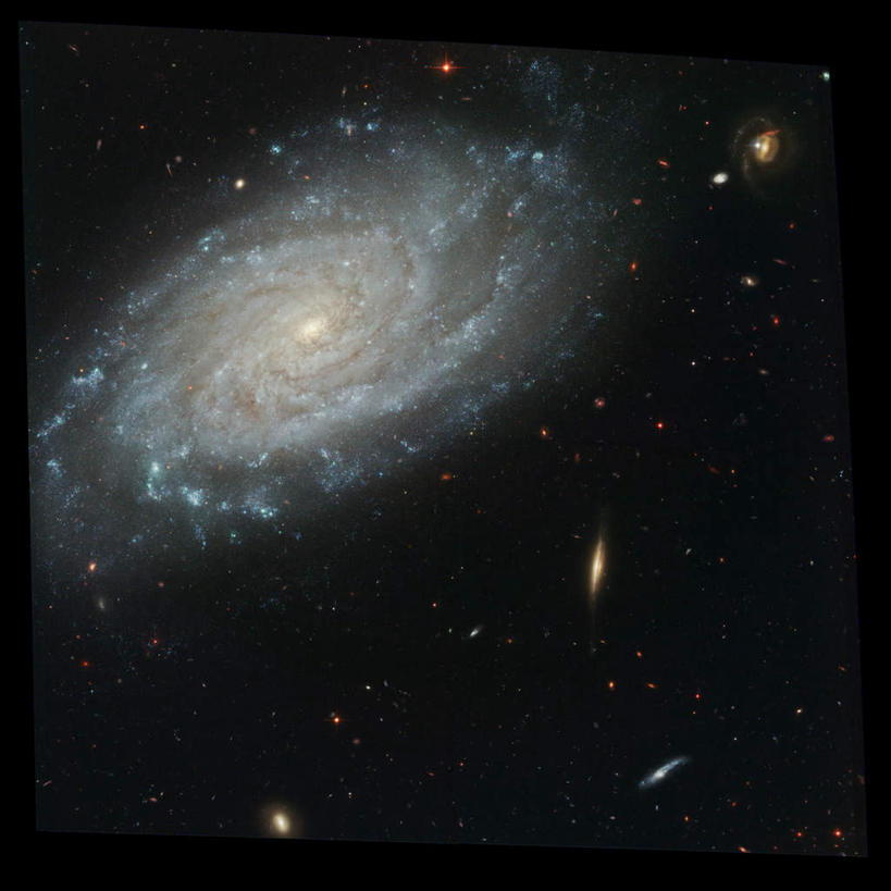 无人,方图,俯视,航拍,室外,夜晚,探险,神秘,宇宙,科学,太空,星球,星云,漩涡,自然,探索,太阳系,星系,发现,天体,鸟瞰,银河系,星体,天文学,外太空,旋涡星系,螺旋星云,彩图,高角度拍摄