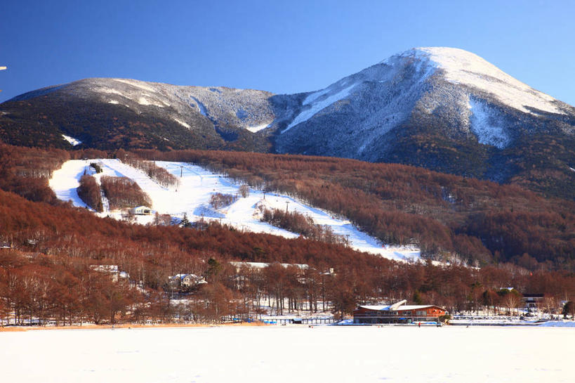 无人,公园,横图,室外,白天,正面,旅游,度假,湖,湖泊,美景,山,水,雪,雪山,植物,大雪,长野县,日本,亚洲,阴影,枯萎,光线,影子,冰,湖面,积雪,景观,山峰,水流,水面,雪景,冬季,冬天,枯草,山峦,娱乐,草,黄色,蓝色,蓝天,天空,阳光,自然,湖水,天,享受,休闲,景色,放松,寒冷,晴朗,冰冷,自然风光,东亚,本州,万里无云,本州岛,日本国,中部地方,山梨,山梨县,长野,严寒,冰凉,酷寒,凛冽,凛凛,极冷,蓼科山,晴空,晴空万里,彩图,国定公园,诹访富士,八岳中信高原国定公园