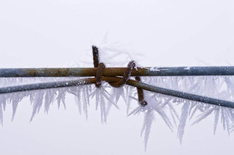 无人,栏杆,横图,室外,特写,白天,正面,雪,大雪,金属制品,一排,许多,吊挂,悬挂,朦胧,模糊,清澈,整齐,纹路,金属,纹理,栅栏,冰,积雪,篱笆,雪景,冬季,冬天,围栏,冰块,冰柱,很多,挂,护栏,排列,寒冷,冰冷,队列,肌理,严寒,冰凉,酷寒,凛冽,凛凛,极冷,清亮,彩图
