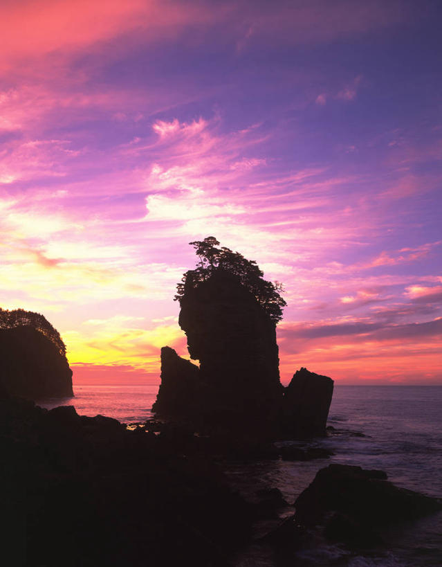 无人,竖图,室外,白天,正面,旅游,度假,日出,岛屿,海浪,海洋,美景,太阳,植物,东京,日本,亚洲,岛,景观,浪花,朝霞,晨曦,黎明,中央区,背光,娱乐,树,树木,绿色,阳光,自然,海水,享受,休闲,银座,景色,放松,生长,成长,自然风光,逆光,海景,东亚,本州,关东地方,本州岛,日本国,东京都,大海,风浪,海,海水的波动,近岸浪,列岛,群岛,涌浪,诸岛,朝阳,彩图,卯时,破晓,日始