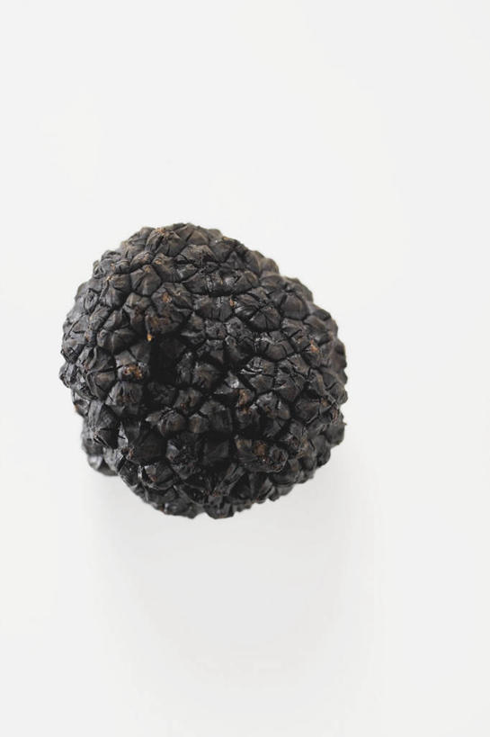 无人,竖图,俯视,室内,特写,白天,白色背景,餐桌,桌子,蔬菜,阴影,新鲜,反射,影子,菌菇,食品,松露,菌类,食物,一个,黑色,食用菌,摄影,有机食品,绿色食品,影棚,单个,餐台,黑松露,彩图,高角度拍摄,影棚拍摄,拍摄