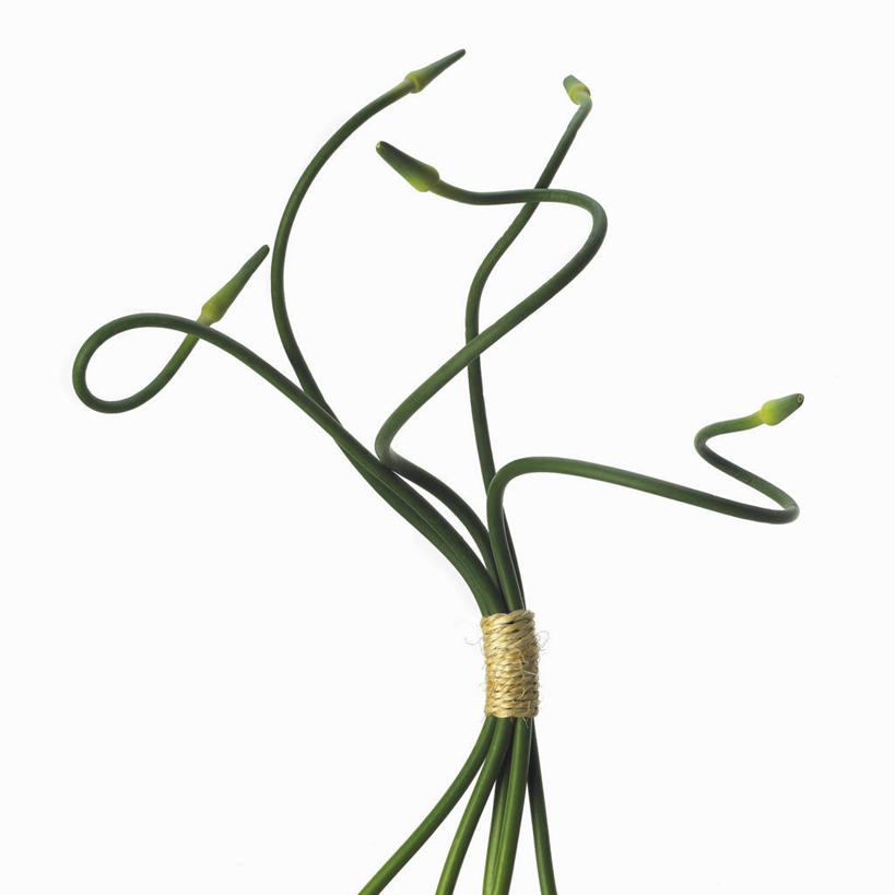 无人,方图,室内,特写,白天,白色背景,正面,蔬菜,蒜,新鲜,食品,蒜头,食物,绿色,摄影,有机食品,绿色食品,影棚,胡蒜,大蒜,彩图,影棚拍摄,拍摄