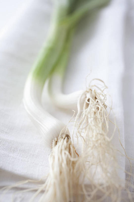 无人,竖图,俯视,室内,特写,白天,白色背景,桌面,桌子,蔬菜,洋葱,阴影,花纹,朦胧,模糊,新鲜,反射,木制,布,图案,影子,食品,布纹,食物,两个,木制品,摄影,有机食品,绿色食品,影棚,布匹,玉葱,圆葱,洋葱头,球葱,葱头,彩图,高角度拍摄,影棚拍摄,拍摄,白洋葱