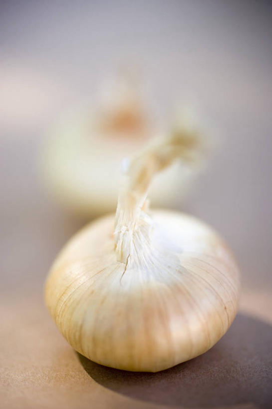无人,竖图,俯视,室内,特写,白天,餐桌,桌子,蔬菜,洋葱,阴影,朦胧,模糊,新鲜,反射,影子,调味,香料,佐料,食品,食物,两个,摄影,有机食品,绿色食品,影棚,餐台,配料,玉葱,作料,圆葱,洋葱头,球葱,葱头,彩图,高角度拍摄,影棚拍摄,拍摄,白洋葱