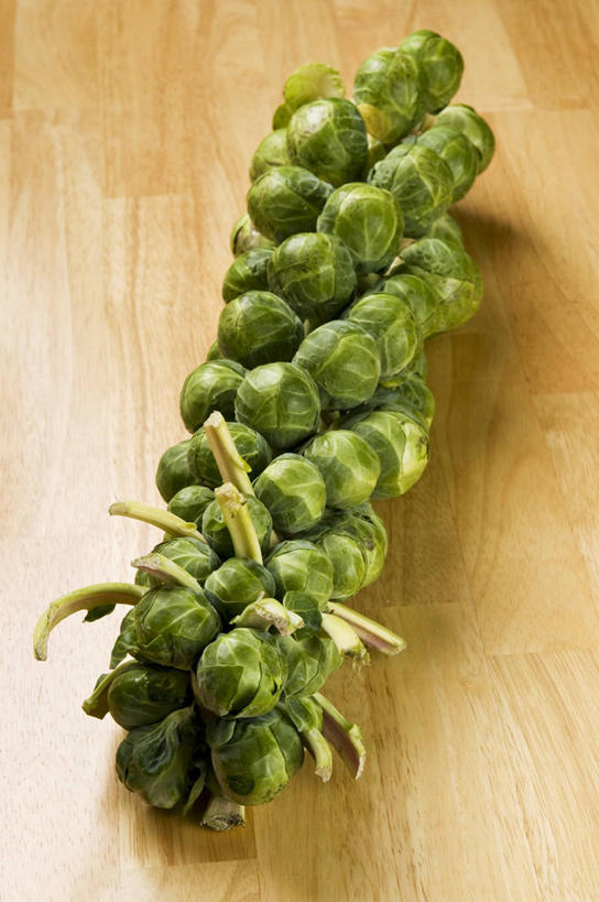 无人,竖图,俯视,室内,特写,白天,餐桌,桌子,蔬菜,椰菜,卷心菜,许多,阴影,新鲜,反射,影子,食品,很多,食物,绿色,甘蓝,有机食品,绿色食品,抱子甘蓝,芽甘蓝,餐台,球芽甘蓝,子持甘蓝,结球甘蓝,甘兰,包心菜,彩图,高角度拍摄