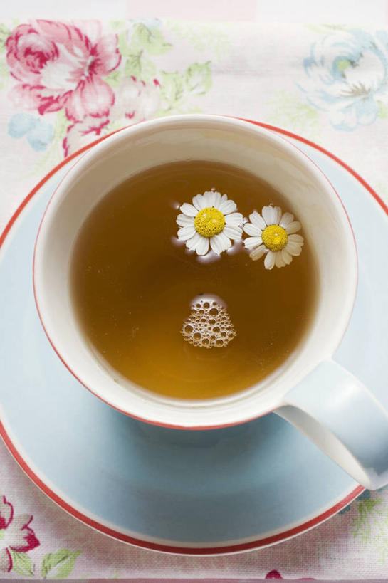 无人,竖图,俯视,室内,特写,白天,幸福,餐桌,茶,桌子,杯子,餐具,阴影,盛开,反射,瓷器,碟子,盘,影子,茶叶,洋甘菊,咖啡杯,陶瓷制品,饮品,一杯,花蕾,娱乐,花,花瓣,花朵,鲜花,一个,盘子,碟,花茶,花苞,花蕊,享受,休闲,温馨,放松,活力,乐趣,力量,保健,养生,摄影,影棚,单个,餐台,花草茶,舒适,坚强,瓷杯,交往,母菊,香花茶,香片,熏花茶,和好,彩图,高角度拍摄,影棚拍摄,拍摄