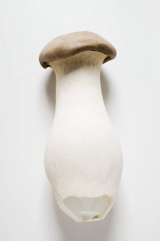 无人,竖图,俯视,室内,特写,白天,白色背景,餐桌,桌子,蔬菜,阴影,新鲜,反射,影子,菌菇,食品,菌类,平菇,食物,一个,食用菌,摄影,有机食品,绿色食品,影棚,单个,餐台,糙皮侧耳,侧耳,黑牡丹菇,彩图,高角度拍摄,影棚拍摄,拍摄