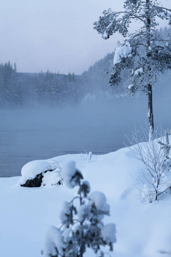 无人,竖图,室外,白天,正面,旅游,度假,美景,雪,植物,雾,大雪,瑞典,欧洲,阴影,朦胧,模糊,光线,影子,积雪,景观,雪景,冬季,冬天,首都,娱乐,树,树木,蓝色,绿色,蓝天,天空,阳光,自然,天,享受,休闲,景色,放松,寒冷,生长,晴朗,成长,迷雾,斯堪的纳维亚,自然风光,北欧,斯德哥尔摩,斯堪的那维亚,斯堪的那维亚半岛,斯堪的纳维亚半岛,万里无云,首府,严寒,瑞典王国,斯德哥尔摩省,大雾,晴空,晴空万里,彩图