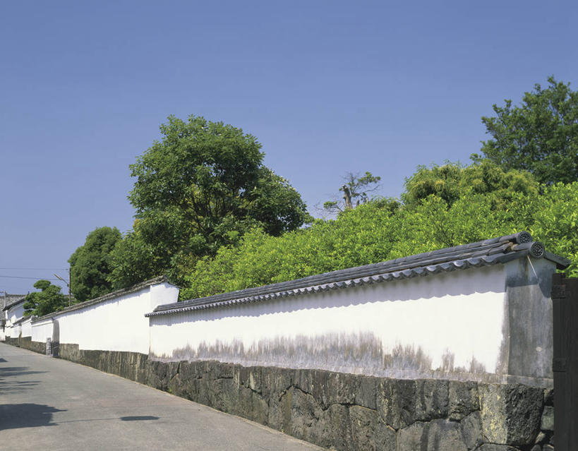 无人,横图,室外,白天,仰视,度假,美景,树林,植物,城市风光,城市,日本,亚洲,阴影,光线,影子,墙,景观,娱乐,墙壁,墙面,树,树木,蓝色,绿色,蓝天,天空,阳光,自然,天,享受,休闲,景色,放松,生长,晴朗,成长,东亚,本州,万里无云,本州岛,日本国,中国地方,山口,山口县,晴空,晴空万里,彩图,低角度拍摄,萩市