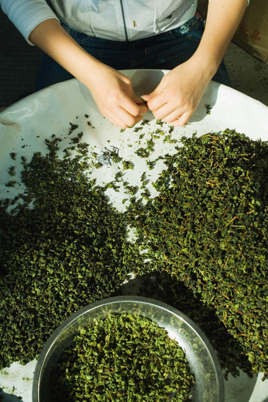 东方人,手,一个人,坐,竖图,俯视,室外,特写,白天,幸福,茶,桌子,叶子,亚洲,仅一个年轻女性,仅一个女性,仅一个人,阴影,服装,光线,盆子,影子,茶叶,休闲装,黄种人,娱乐,衣服,阳光,享受,休闲,温馨,手部,休闲服,放松,乐趣,服饰,提神,舒适,挑选,醒脑,年轻女性,女人,女性,亚洲人,叶,叶片,坐着,半身,彩图,高角度拍摄