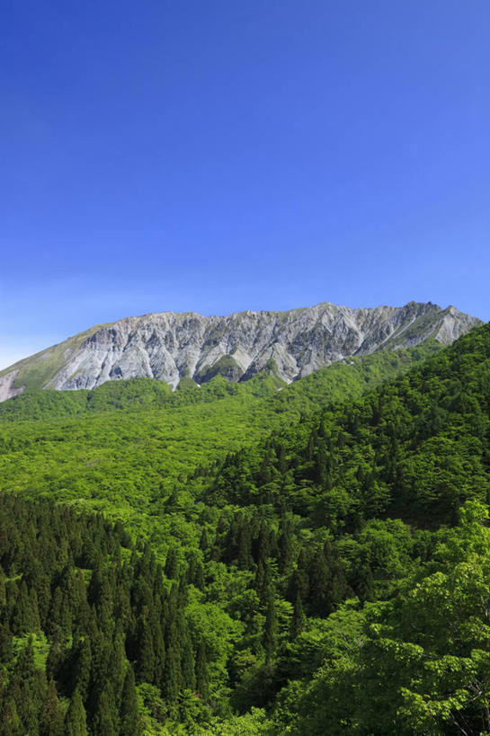 无人,竖图,室外,白天,正面,旅游,度假,美景,森林,山,山脉,树林,植物,日本,亚洲,阴影,光线,影子,景观,山峰,云,云朵,山峦,云彩,娱乐,树,树木,蓝色,绿色,白云,蓝天,天空,阳光,自然,群山,天,享受,休闲,景色,放松,生长,晴朗,成长,自然风光,东亚,本州,本州岛,日本国,中国地方,鸟取,鸟取县,晴空,彩图,大山町,西伯郡