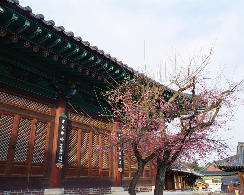 无人,寺庙,横图,室外,白天,仰视,旅游,度假,名胜古迹,植物,标志建筑,地标,建筑,釜山,韩国,亚洲,节日,遗迹,云,云朵,燃烧,云彩,古迹,文化,文物,娱乐,建设,古建筑,树,树木,蓝色,绿色,白云,蓝天,天空,自然,香火,庙宇,天,祈祷,享受,休闲,健康,旅游胜地,放松,许愿,宗教,信仰,生长,晴朗,成长,纪念,祈求,古文明,东亚,大韩民国,釜山市,釜山广域市,广域市,通度寺,平安,晴空,彩图,低角度拍摄,庙,寺