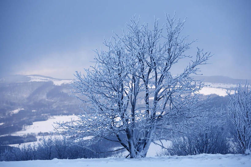 无人,横图,室外,白天,正面,旅游,度假,美景,山,雪,雪山,植物,大雪,德国,欧洲,冰,积雪,景观,山峰,雪景,冬季,冬天,枝条,山峦,娱乐,树,树木,树枝,自然,享受,休闲,景色,放松,寒冷,冰冷,西欧,自然风光,德意志联邦共和国,严寒,冰凉,酷寒,凛冽,凛凛,极冷,巴伐利亚,巴伐利亚州,拜恩州,拜恩自由州,虬枝,枝杈,彩图,下弗兰肯行政区