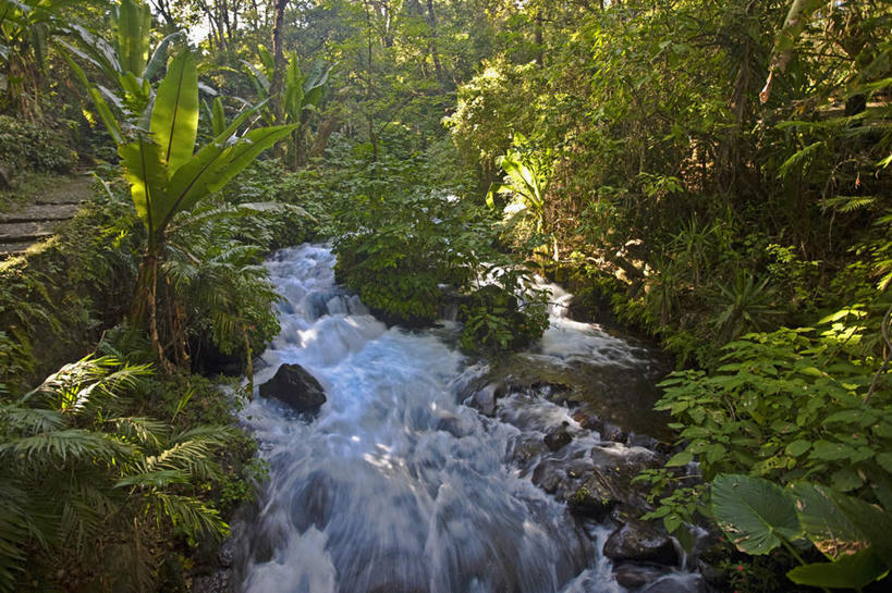 无人,横图,室外,白天,正面,旅游,度假,河流,石头,美景,瀑布,森林,山,山脉,树林,水,植物,墨西哥,飞溅,溅,石子,液体,河水,景观,山峰,水滴,水流,山峦,娱乐,水珠,树,树木,绿色,小溪,自然,群山,溪水,享受,休闲,景色,放松,生长,成长,北美,北美洲,喷洒,自然风光,美洲,沉积岩,乌鲁阿潘,米却肯,北亚美利加洲,亚美利加洲,墨西哥合众国,仙人掌王国,米却肯州,水成岩,跌水,石块,岩石,彩图