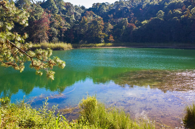 无人,横图,室外,白天,正面,旅游,度假,湖,湖泊,美景,森林,树林,水,植物,墨西哥,阴影,光线,影子,湖面,景观,水流,水面,娱乐,树,树木,绿色,倒影,阳光,自然,湖水,享受,休闲,景色,放松,生长,成长,倒映,北美,北美洲,自然风光,美洲,恰帕斯,恰帕斯州,北亚美利加洲,亚美利加洲,墨西哥合众国,仙人掌王国,反照,彩图