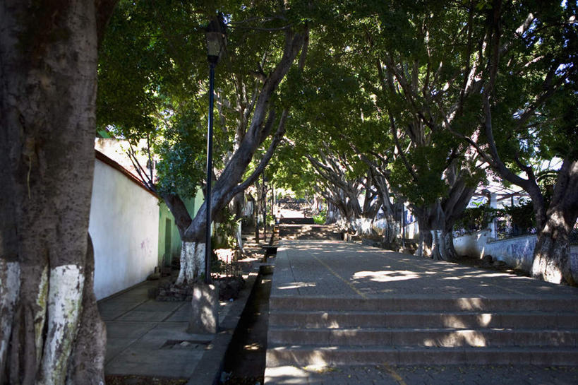 无人,横图,室外,白天,正面,度假,石头,美景,植物,城市风光,城市,道路,路,公路,墨西哥,一排,阴影,整齐,并列,并排,光线,石子,影子,墙,景观,交通,娱乐,墙壁,墙面,树,树木,排列,绿色,阳光,自然,享受,休闲,景色,放松,生长,成长,北美,北美洲,队列,美洲,平行,瓦哈卡州,瓦哈卡,北亚美利加洲,亚美利加洲,墨西哥合众国,仙人掌王国,瓦哈卡德华雷斯,石块,马路,彩图