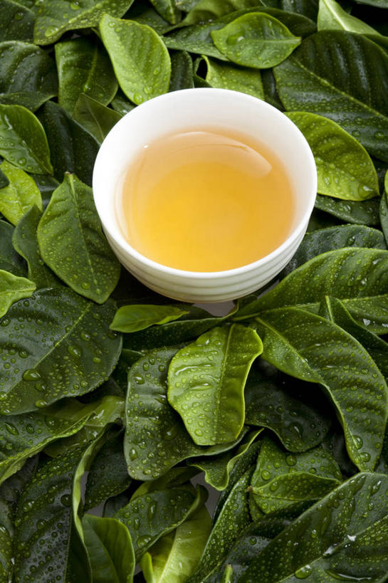 无人,竖图,俯视,茶,静物,叶子,亚洲,圆形,材料,瓷器,水滴,茶道,茶叶,陶瓷制品,绿色,健康,安静,颜色,摄影,有机食品,生活方式,茶色,高雅,中国文化,热饮,茶杯,彩图,高角度拍摄,传统文化