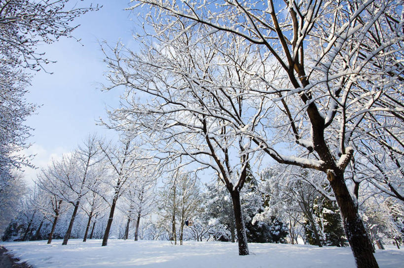 无人,公园,横图,室外,白天,旅游,度假,美景,森林,树林,雪,北京,中国,亚洲,覆盖,脚印,景观,冬天,娱乐,树,蓝色,风景,天空,自然,享受,休闲,景色,放松,寒冷,冷,摄影,生长,宁静,自然风光,东亚,发展,万里无云,朝阳区,彩图,林区,红领巾公园