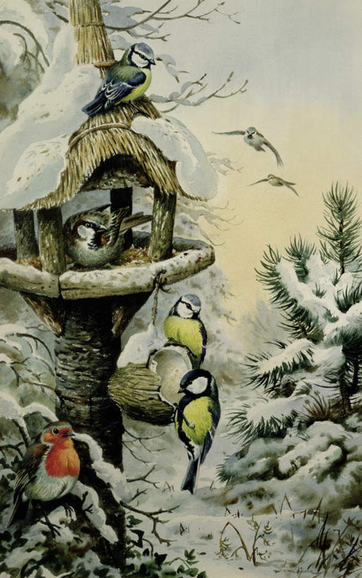无人,站,竖图,室内,白天,正面,绘画,美景,雪,植物,大雪,鸟,油画,许多,飞翔,伸展,张开,展翅,艺术,飞行,翅膀,麻雀,鸟类,山雀,知更鸟,鸟巢,积雪,景观,雪景,冬季,冬天,翱翔,古典,注视,文化,飞,树,树木,绿色,自然,工艺品,观察,看,品味,站着,景色,寒冷,生长,成长,观看,美术,察看,高雅,关注,自然风光,张开翅膀,家雀,美学,严寒,霍雀,老家贼,红襟鸟,欧亚鸲,知更雀,蓝山雀,展开翅膀,白脸山雀,大山雀,罗宾鸟,蓝冠山雀,站立,彩图,全身