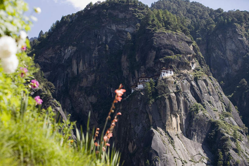 无人,横图,俯视,室外,白天,旅游,度假,草地,草坪,美景,山,山脉,树林,植物,标志建筑,地标,建筑,不丹,亚洲,阴影,节日,生气,盛开,光线,影子,墙,屋顶,景观,山峰,云,云朵,山峦,花蕾,云彩,顶棚,文化,娱乐,建设,墙壁,墙面,草,花,花瓣,花朵,鲜花,树,树木,蓝色,绿色,白云,蓝天,天空,阳光,自然,群山,天,花苞,花蕊,祈祷,享受,休闲,健康,旅游胜地,景色,放松,活力,许愿,宗教,信仰,茂盛,生长,晴朗,成长,纪念,生机,祈求,连绵,繁茂,基督教,绵延,天主教,自然风光,修道院,南亚,信念,兴旺,昌盛,绵亘,昌隆,畅旺,发达,蕃芜,繁盛,富强,隆盛,蓬勃,旺盛,兴隆,兴盛,郁勃,不丹王国,活气,神学院,修院,隐修院,巴罗,虎穴寺,平安,晴空,彩图,高角度拍摄