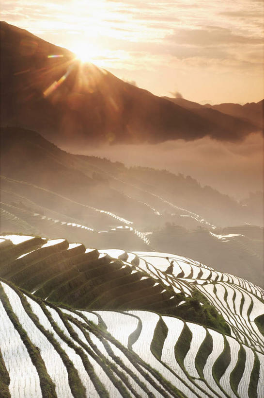 无人,农田,竖图,俯视,室外,白天,旅游,度假,庄稼,梯田,农作物,草地,草坪,石头,美景,日落,山,山脉,植物,雾,中国,亚洲,朦胧,模糊,曲折,弯曲,石子,景观,山峰,晚霞,霞光,落日,山峦,娱乐,草,树,树木,绿色,自然,黄昏,群山,享受,休闲,景色,彩霞,放松,蜿蜒,生长,成长,广西,迷雾,自然风光,东亚,龙胜,龙脊梯田,广西壮族自治区,中华人民共和国,桂,华南地区,夕照,龙胜各族自治县,和平乡,龙胜梯田,平安村,石块,岩石,大雾,夕阳,彩图,高角度拍摄,耕地,庄稼田,斜阳