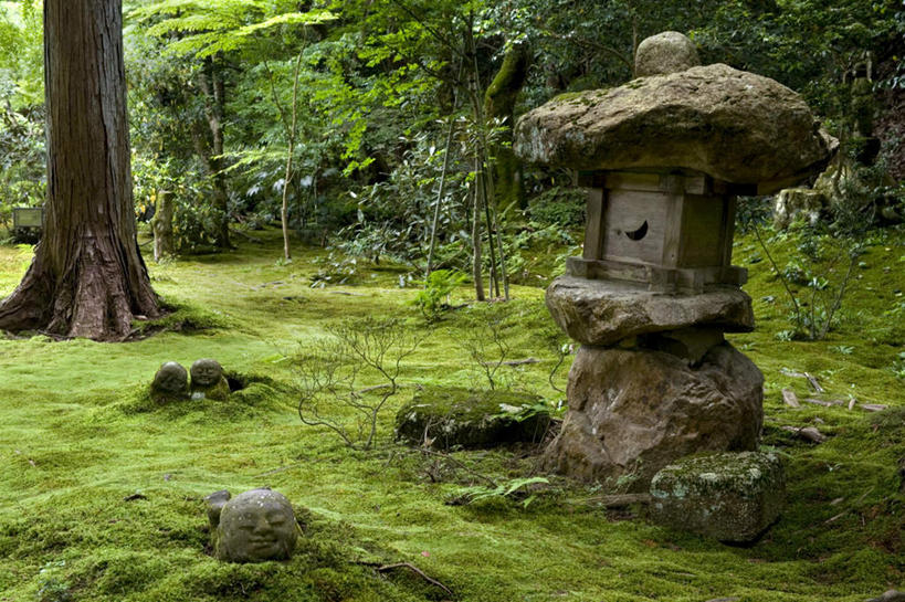 无人,横图,俯视,室外,白天,旅游,度假,草地,草坪,名胜古迹,植物,标志建筑,地标,建筑,照明,京都,日本,亚洲,阴影,朦胧,模糊,遗迹,光线,影子,灯光,古迹,文物,娱乐,建设,古建筑,吊灯,灯,草,绿色,阳光,灯具,享受,休闲,旅游胜地,放松,京都府,照亮,照明设备,古文明,东亚,本州,本州岛,日本国,近畿地方,近畿,三千院,彩图,高角度拍摄