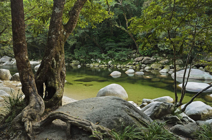 无人,公园,横图,室外,白天,正面,旅游,度假,湖,湖泊,石头,美景,森林,树林,水,植物,澳大利亚,阴影,光线,石子,影子,湖面,景观,水流,水面,娱乐,树,树木,绿色,阳光,自然,湖水,享受,休闲,景色,放松,生长,成长,国家公园,自然风光,大洋洲,澳洲,昆士兰州,南方大陆,澳大利亚联邦,昆士兰,丹翠国家公园,石块,岩石,彩图