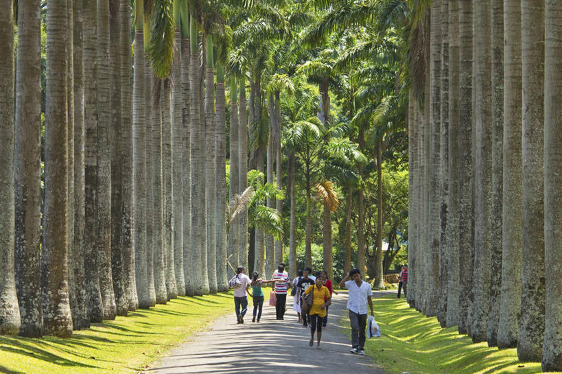 西方人,走,横图,室外,白天,正面,旅游,度假,美景,树林,植物,道路,路,欧洲,斯里兰卡,欧洲人,亚洲,行人,游客,游人,服装,景观,小路,交通,许多人,拎,注视,休闲装,娱乐,路人,旅客,树,树木,衣服,绿色,自然,观察,看,一群人,享受,休闲,休闲服,景色,放松,服饰,生长,成长,观看,察看,关注,自然风光,南亚,斯里兰卡民主社会主义共和国,过客,康提,康提古城,马哈努沃勒,男人,男性,女人,女性,中年男性,中年女性,白种人,步行,散步,走路,彩图,全身,拎着
