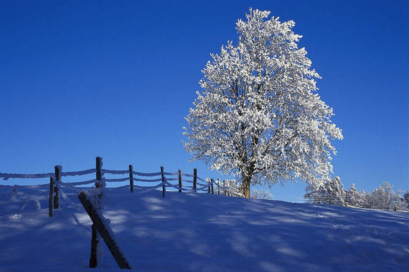 无人,栏杆,横图,室外,白天,正面,旅游,度假,美景,雪,植物,大雪,德国,欧洲,阴影,光线,影子,栅栏,冰,积雪,景观,篱笆,雪景,冬季,冬天,围栏,娱乐,护栏,树,树木,蓝色,绿色,蓝天,天空,阳光,自然,天,享受,休闲,景色,放松,寒冷,生长,晴朗,成长,冰冷,西欧,自然风光,雾凇,万里无云,德意志联邦共和国,严寒,冰凉,酷寒,凛冽,凛凛,极冷,树挂,晴空,晴空万里,彩图