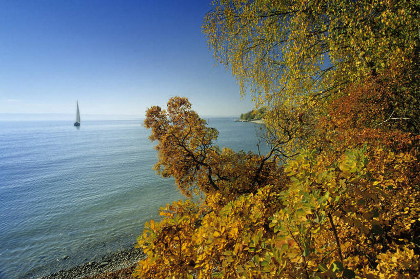 帆船,无人,横图,室外,白天,正面,旅游,度假,湖,湖泊,美景,秋季,水,植物,船,德国,欧洲,一艘,阴影,光线,影子,湖面,景观,水流,水面,娱乐,树,树木,黄色,蓝色,绿色,蓝天,天空,阳光,自然,交通工具,湖水,天,行驶,享受,休闲,景色,放松,生长,晴朗,成长,波光粼粼,淡水湖,航行,西欧,自然风光,载具,万里无云,德意志联邦共和国,巴登.符腾堡,巴登.符腾堡州,巴符州,博登湖,康斯坦茨湖,晴空,晴空万里,秋,秋天,彩图