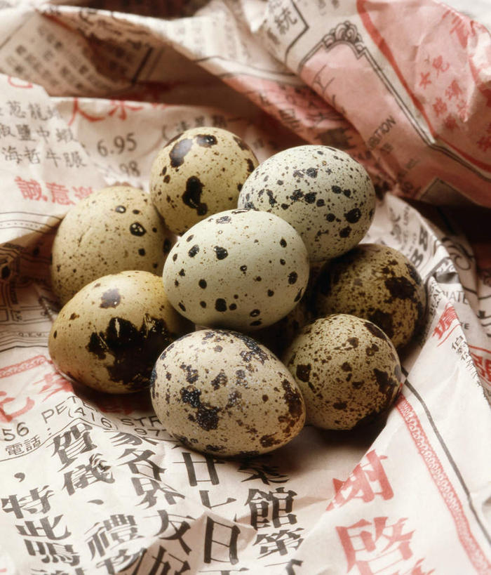 无人,竖图,俯视,室内,特写,白天,桌面,桌子,鸟,报纸,一堆,许多,阴影,堆叠,堆积,光线,信息,木制,鸟类,影子,很多,木制品,堆,新闻,鹌鹑,奔鹑,宛鹑,彩图,高角度拍摄,报刊