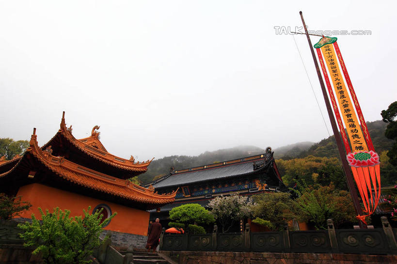 无人,寺庙,横图,室外,白天,仰视,旅游,度假,名胜古迹,植物,标志建筑,地标,建筑,旗帜,中国,亚洲,节日,遗迹,标志,文字,字符,屋顶,顶棚,古迹,文化,文物,娱乐,标识,旗子,建设,古建筑,浙江,树,树木,浙江省,绿色,天空,自然,庙宇,天,祈祷,享受,休闲,健康,汉字,旅游胜地,放松,许愿,宗教,佛教,信仰,生长,成长,纪念,祈求,中文,古文明,东亚,普陀区,普陀山,法雨寺,中华人民共和国,华东地区,浙,国文,华文,旌旗,旗号,舟山,舟山市,释教,平安,彩图,低角度拍摄,庙,寺,海天佛国,shwf1