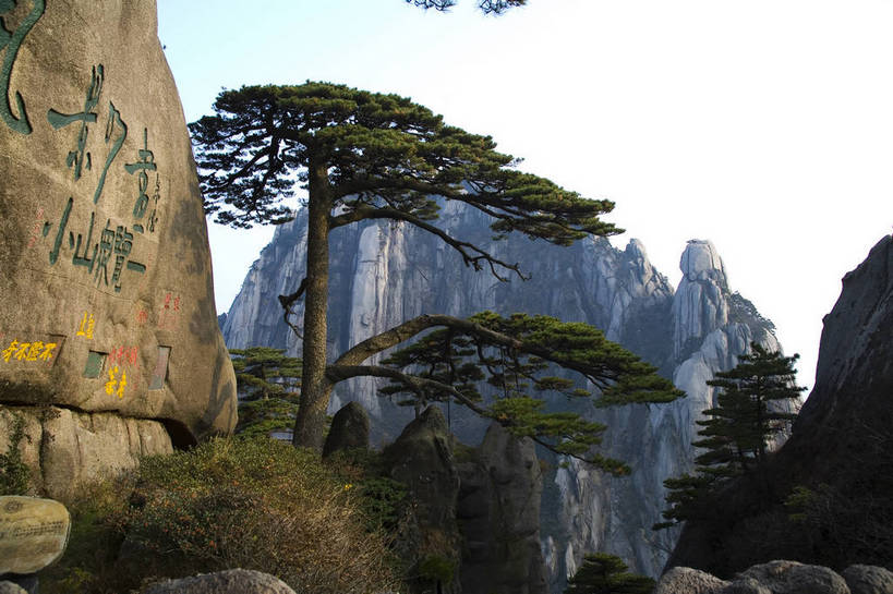 横图,彩色,室外,白天,旅游,度假,黄山,名胜古迹,山,天际线,标志建筑,地标,建筑,松树,中国,亚洲,行人,游客,游人,遗迹,图片,高山,文化遗产,古迹,文物,娱乐,建设,古建筑,路人,旅客,树,天空,享受,休闲,旅游胜地,放松,摄影,中国文化,自然风光,迎客松,古文明,东亚,安徽,安徽省,黄山市,中华人民共和国,华东地区,皖,过客,自然景观,黟山,彩图,旅行,世界地质公园,天下第一奇山,黄山玉屏峰,玉屏峰,玉屏景区,玉屏楼,bj174