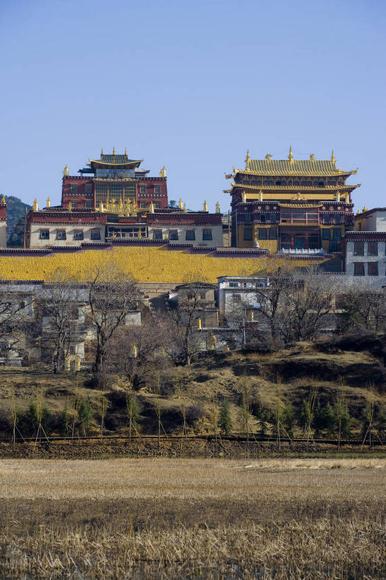竖图,彩色,室外,白天,旅游,标志建筑,地标,建筑,香格里拉,中国,亚洲,民俗,景观,文化遗产,古城,建筑群,古典,建设,迪庆,云南,民居,特色,古镇,远景,景色,竖,摄影,人文景观,矗立,中国文化,耸立,东亚,松赞林寺,中华人民共和国,挺立,民族建筑,古代文明,旅行,传统文化,bj174