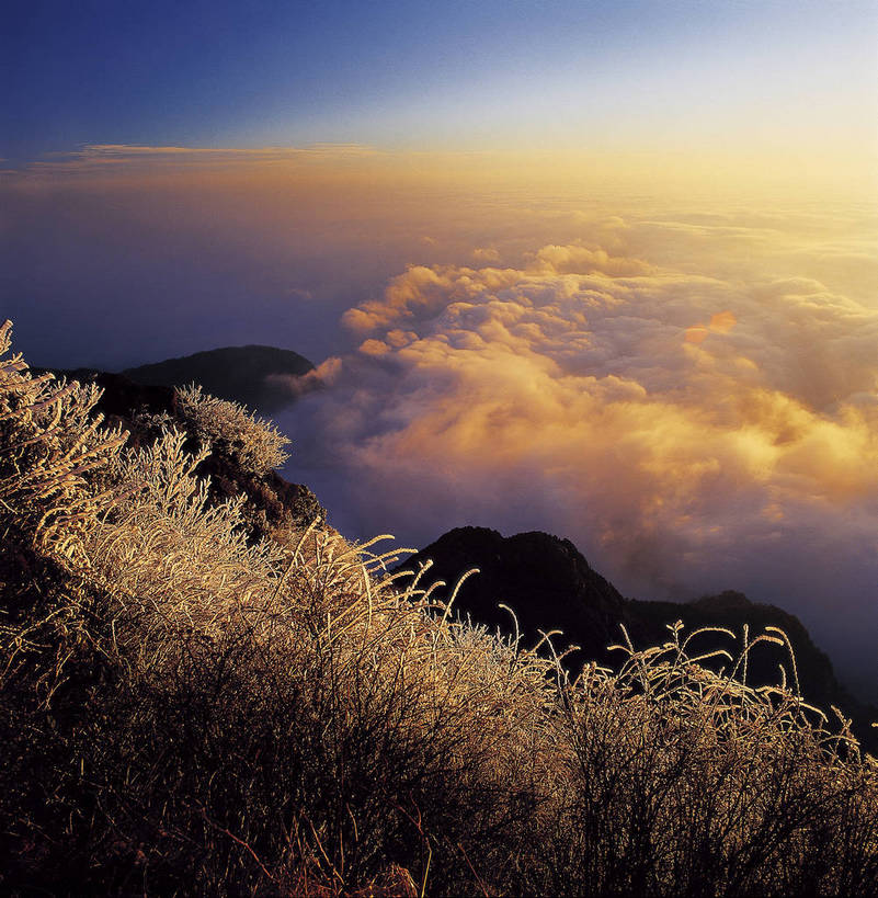 竖图,俯视,彩色,室外,白天,旅游,峨眉山,中国,亚洲,壮观,景观,山峰,云,云海,山峦,云雾,金顶,自然,远景,竖,摄影,人文景观,雄伟,矗立,耸立,东亚,地貌,四川,中华人民共和国,挺立,夕阳,旅行,地质,bj174