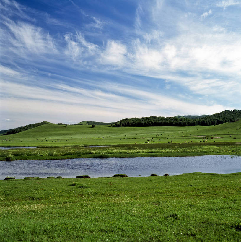 竖图,室外,白天,草原,河流,美景,森林,树林,中国,亚洲,景观,绿色,自然,春天,景色,竖,摄影,山林,矗立,自然风光,耸立,东亚,四川,中华人民共和国,米亚罗,挺立,彩图,bj174