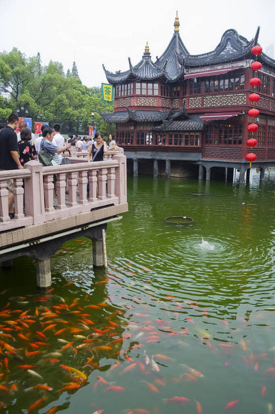 竖图,彩色,室外,白天,旅游,度假,名胜古迹,标志建筑,地标,建筑,上海,中国,亚洲,遗迹,池塘,景观,文化遗产,建筑群,走廊,古典,古迹,文物,娱乐,建设,古建筑,历史建筑,豫园,享受,休闲,旅游胜地,放松,竖,摄影,鱼池,回廊,文明,中国文化,古文明,东亚,中华人民共和国,旅行,bj174