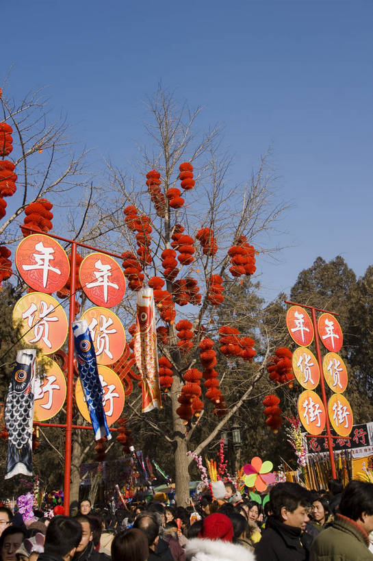 摄影师,竖图,彩色,室外,白天,北京,中国,春节,亚洲,游人,节日,庆祝,民俗,冬季,庙会,拥挤,文化,传统,红灯笼,招牌,东方,树木,庆典,喜庆,热闹,晴天,纪念,文明,近景,中国文化,摄像师,地坛,bj174