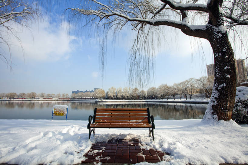 无人,公园,横图,室外,白天,湖,美景,雪,柳树,椅子,北京,中国,亚洲,覆盖,长椅,池塘,结冰,景观,云,冬天,垂柳,树,蓝色,风景,天空,自然,景色,寒冷,冷,摄影,宁静,自然风光,东亚,朝阳区,彩图,红领巾公园,bj175
