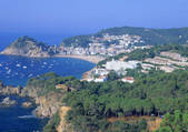 tkf001_107562