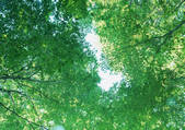 tkf001_108470