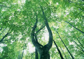 tkf001_108472