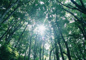 tkf001_108481